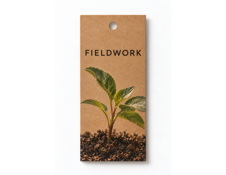 Brown Kraft Hang Tags product view